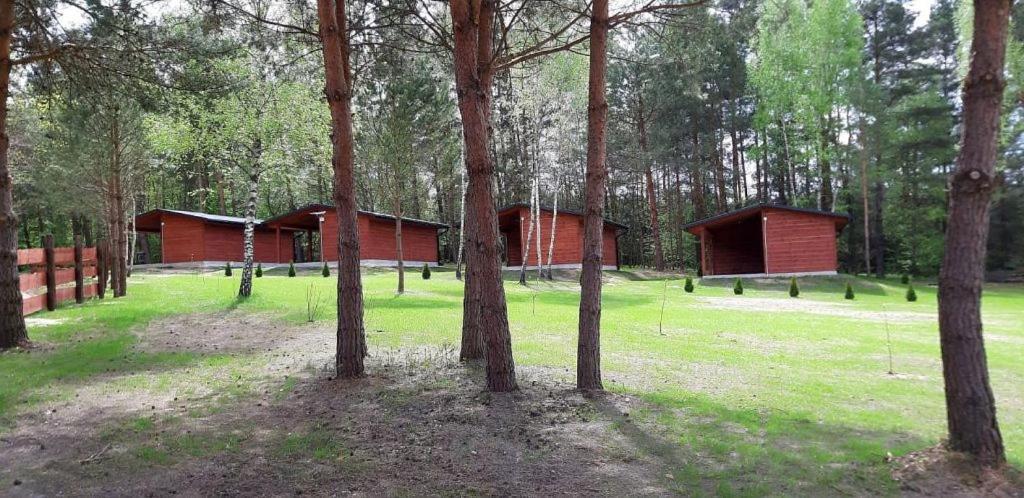 Domki Wrzosowe Wzgorza Nr2 Horyniec 외부 사진