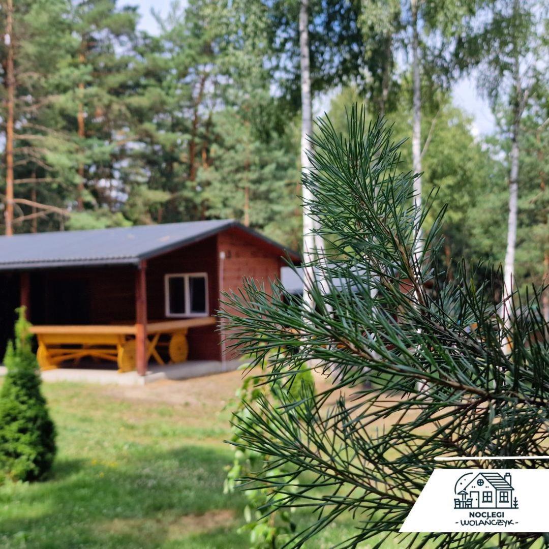 Domki Wrzosowe Wzgorza Nr2 Horyniec 외부 사진